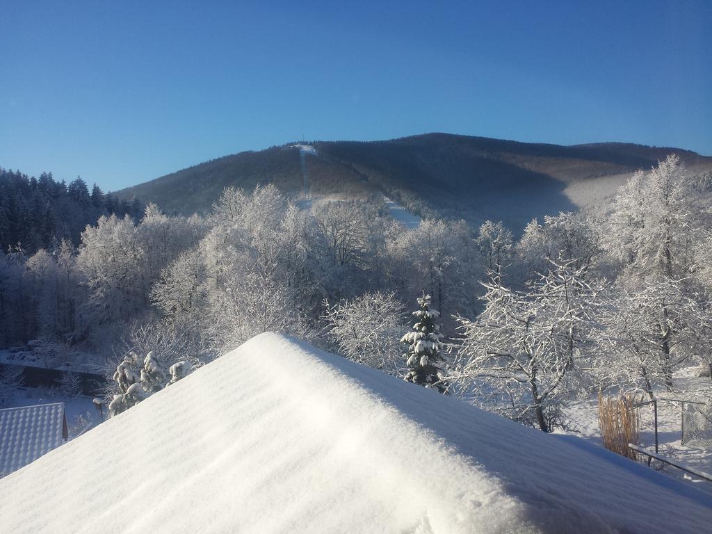 Pokoje Na Skalicy Ustron Extérieur photo